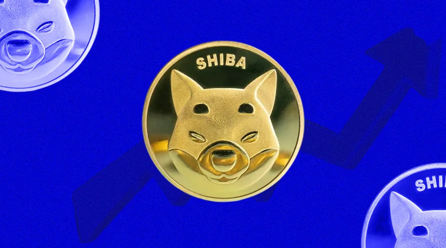 As Shiba Inu Surges