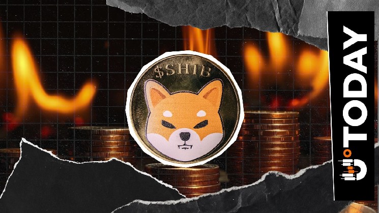 SHIB Burns Stuck at Zero for Second Consecutive Day Amid Surging Crypto Market