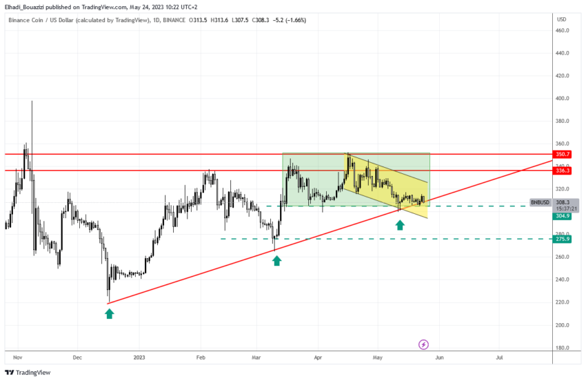 الرسم البياني اليومي عملة بينانس BNB