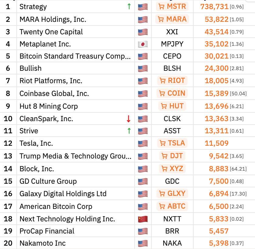 Stock Investment, MicroStrategy, Michael Saylor, Yields