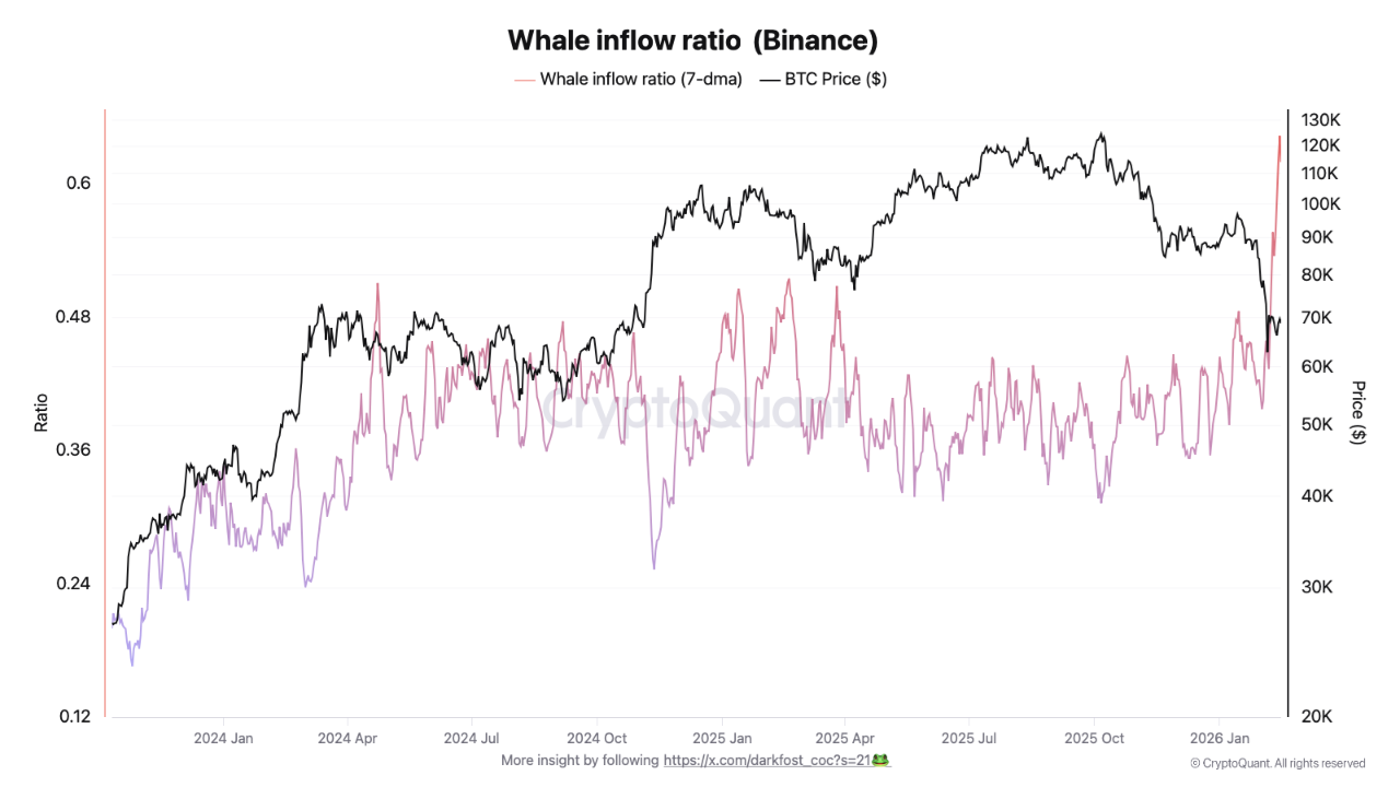 Whale Inflow Ratio (биткоин). Источник: CryptoQuant