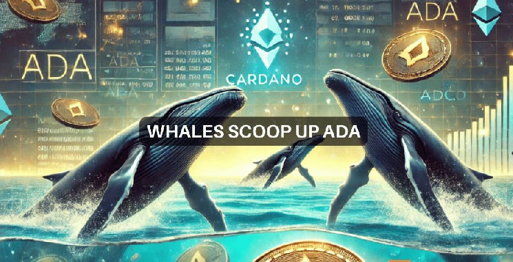 Киты Cardano приобретают 130 млн ADA — будет ли прорыв в $1,00?