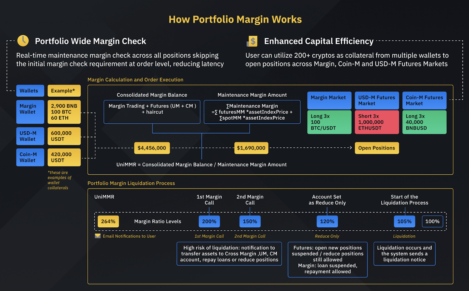 Binance margin data