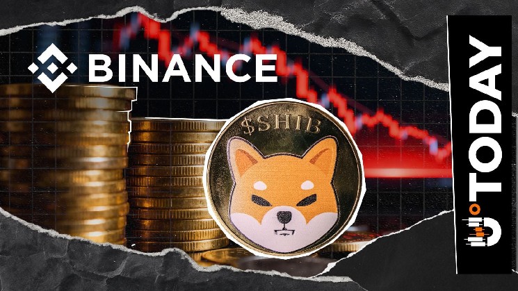 733 Billion SHIB Outflow: Binance's Shiba Inu Stockpile Dips 1.38% While Holding Massive 52.5 Trillion in Total Reserves