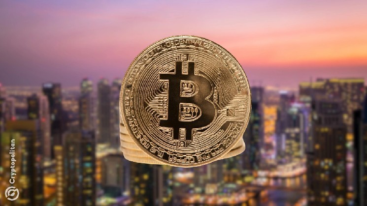 Центральный банк ОАЭ предоставляет дочернюю компанию Fuze Digital Asset Payments A