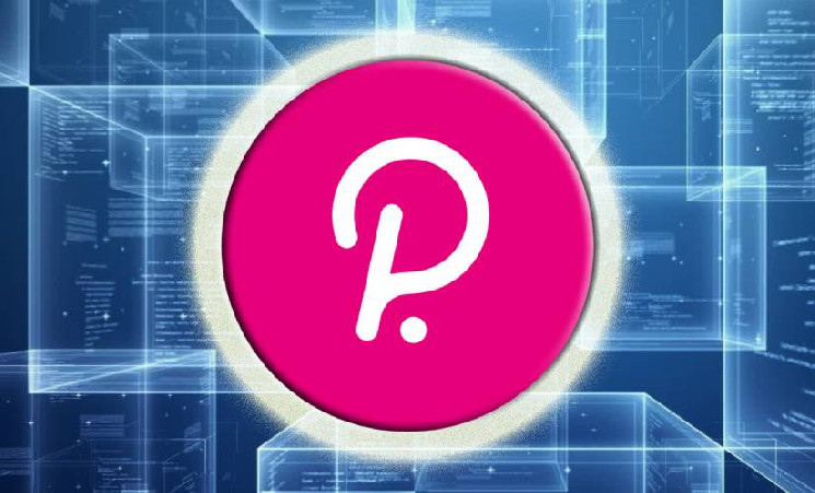 Известный инвестор вновь расхвалил Polkadot