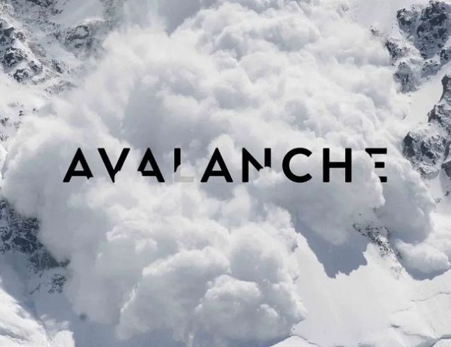 Цена Avalanche (AVAX) выросла на 12%