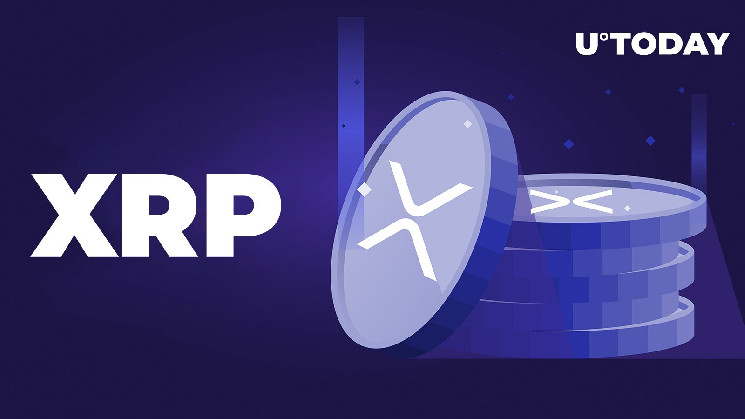 Снимок XRP Airdrop завершен, вот что дальше для держателей