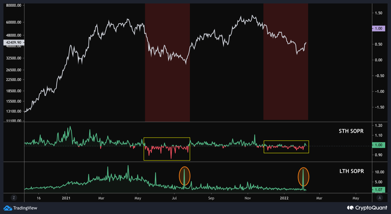 sopr indicator bitcoin