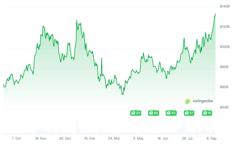 Capitalización de mercado de Solana (SOL) - 1 año. Fuente: CoinGecko