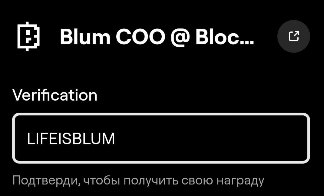 Blum комбо дня