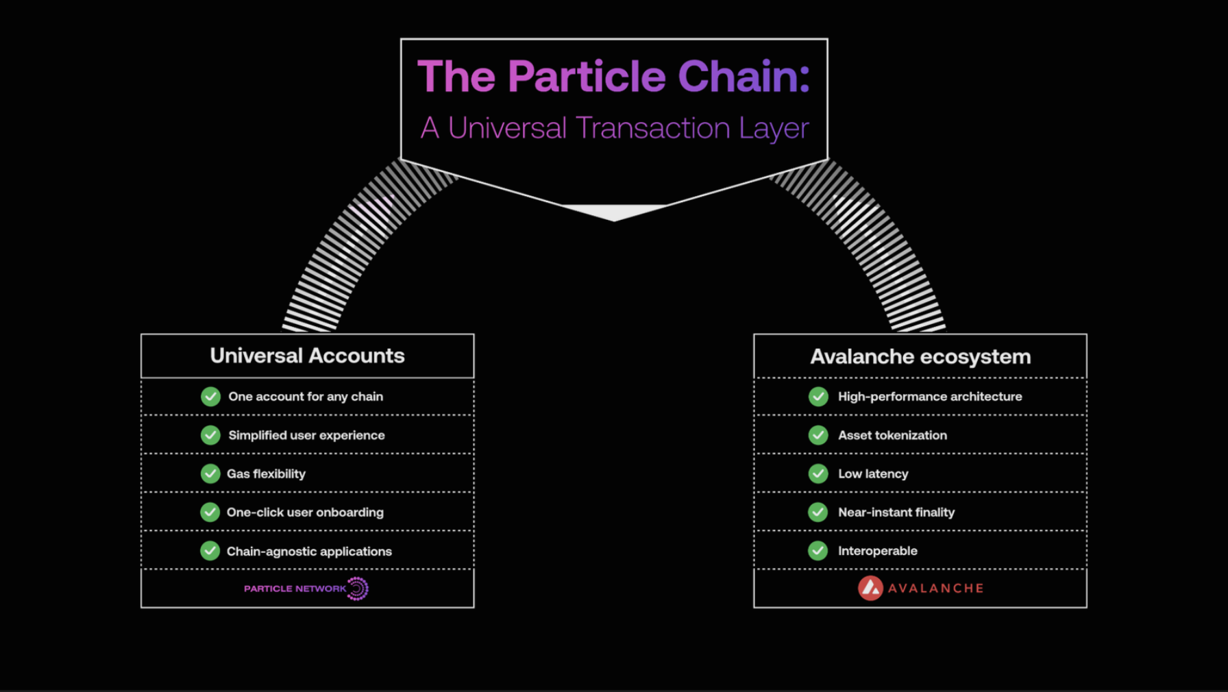 Modular L1-1 for Particle Network Starting with Avalanche