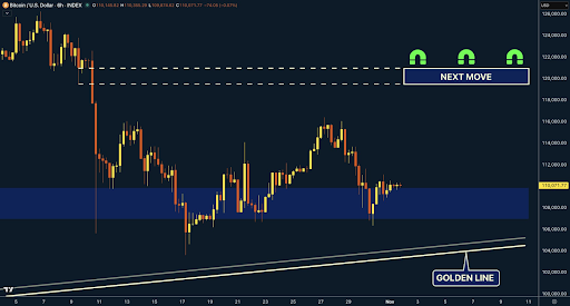 Analyst’s Full Market Breakdown Shows Why Bitcoin Price Is Headed For $120,000 4 c100820f149cf6b067a74ac149dbe97f872e2728