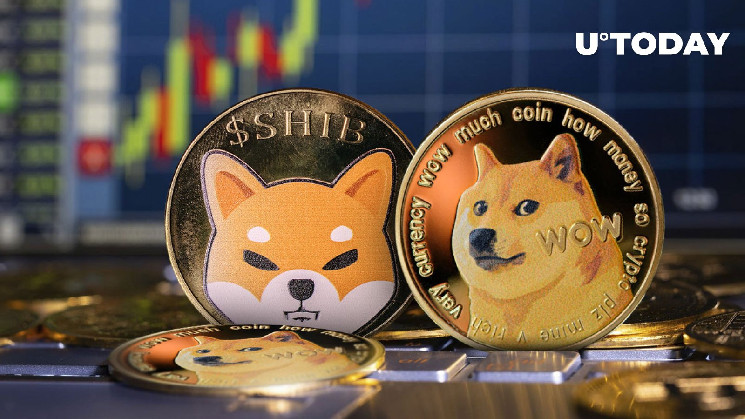 Сиба-ину (SHIB) и Dogecoin (DOGE) могут вытеснить Кардано из топа: вот как