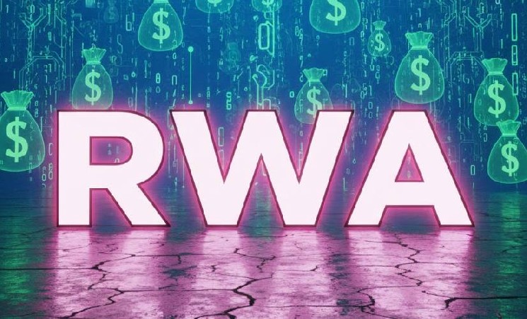 Стартап Cork привлек $5,5 млн для развития токенизации рисков RWA