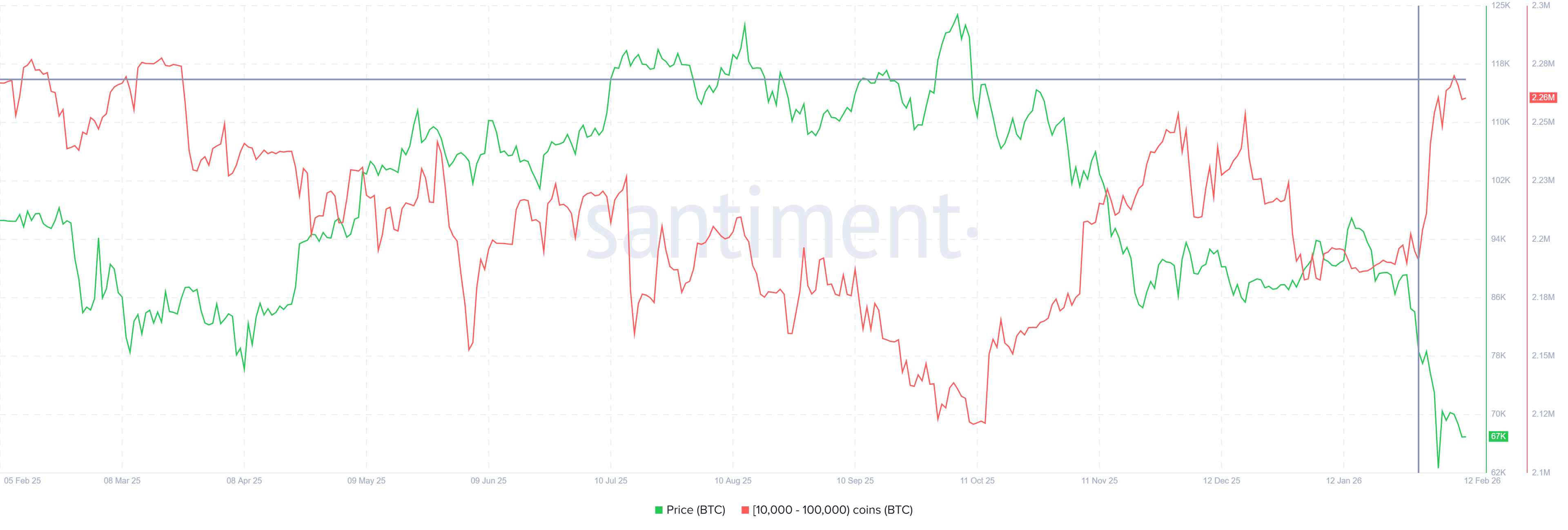 Suministro de ballenas Bitcoin