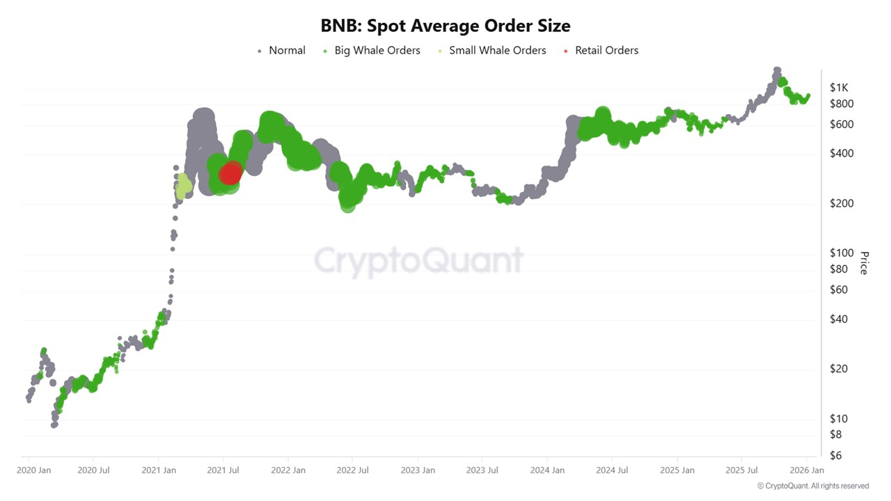 BNB Spot Average Order Size. Source: CryptoQuant