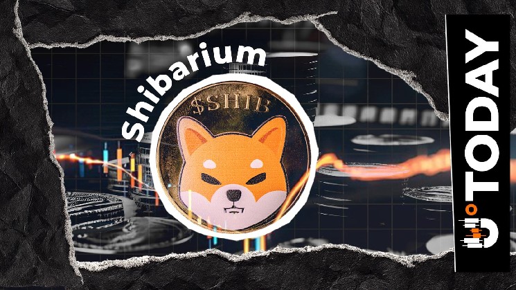 Shibarium Update: Essential Infrastructure Changes Issued to SHIB Community