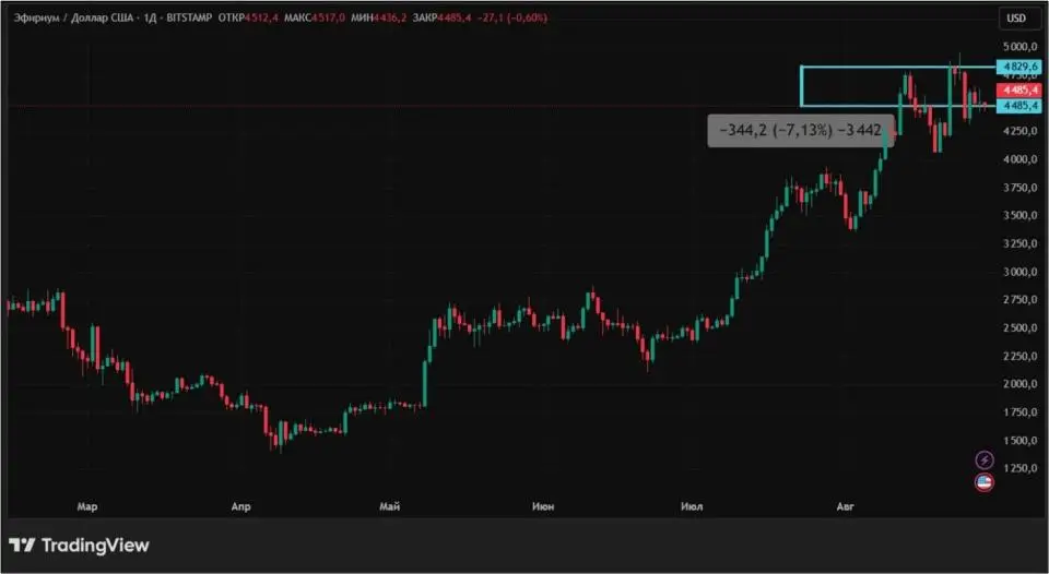 29082501.jpg 29082501.jpg