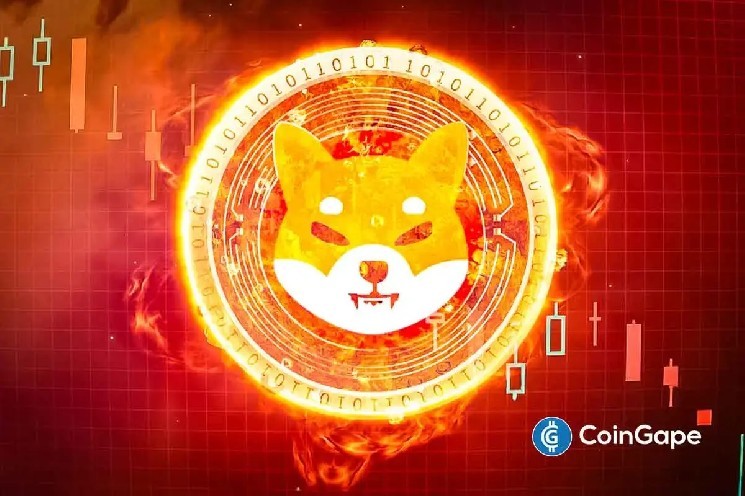 Скорость сжигания Shib выросла на 12 000% - на 18% Shiba Inu Pry Rally ралли?