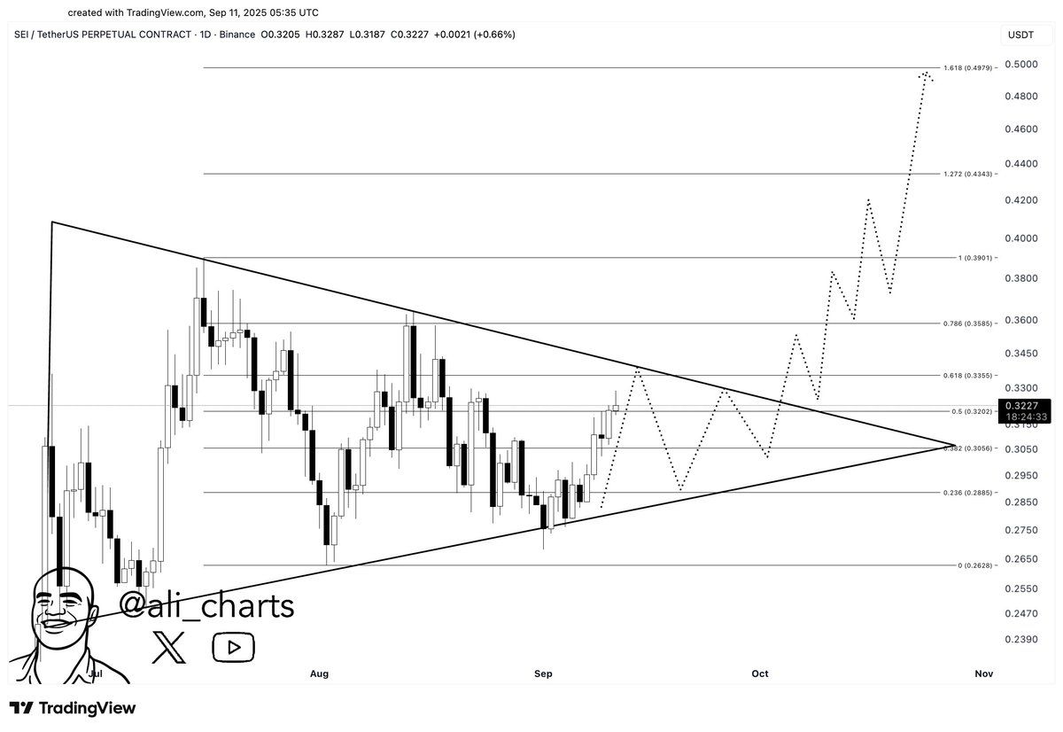 SEI/USDT Daily Chart. Source: Ali on X