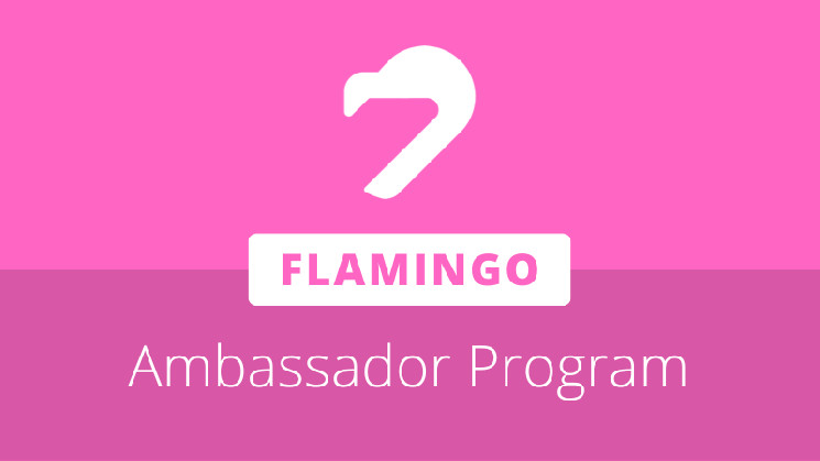 Flamingo запускает программу послов для поощрения усилий по созданию сообщества