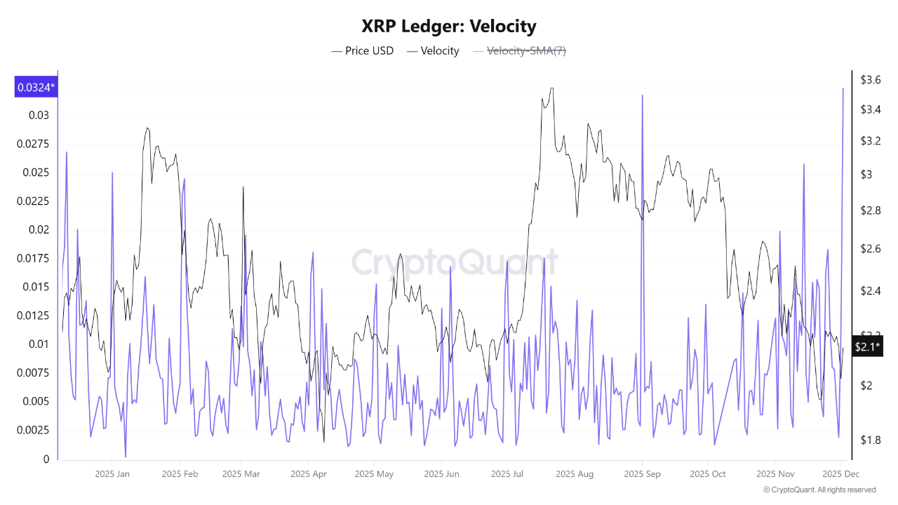 XRP Ledger Velocity. Source: CryptoQuant.