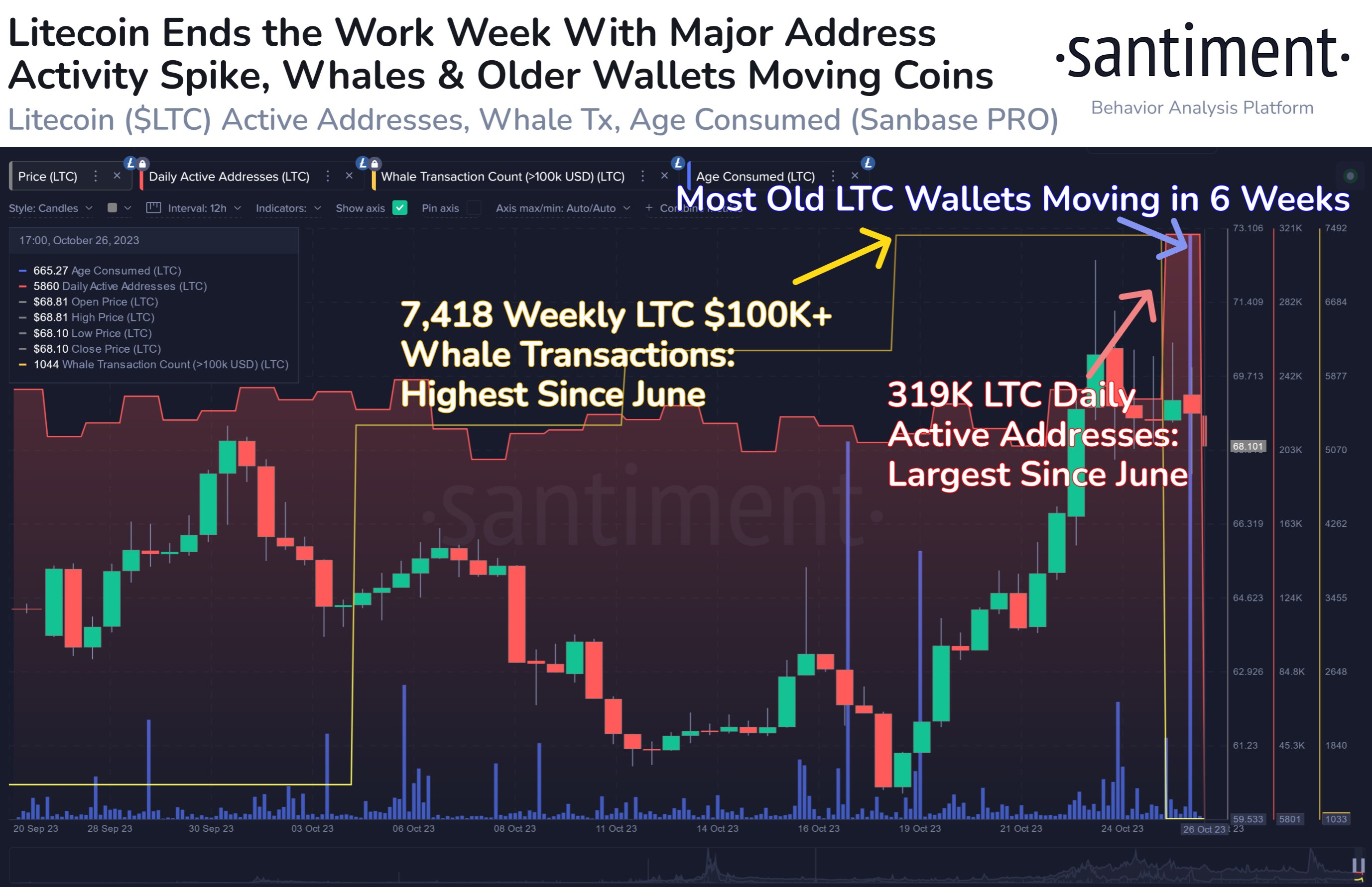 LTC on-chain metrics reveal bullish outlook