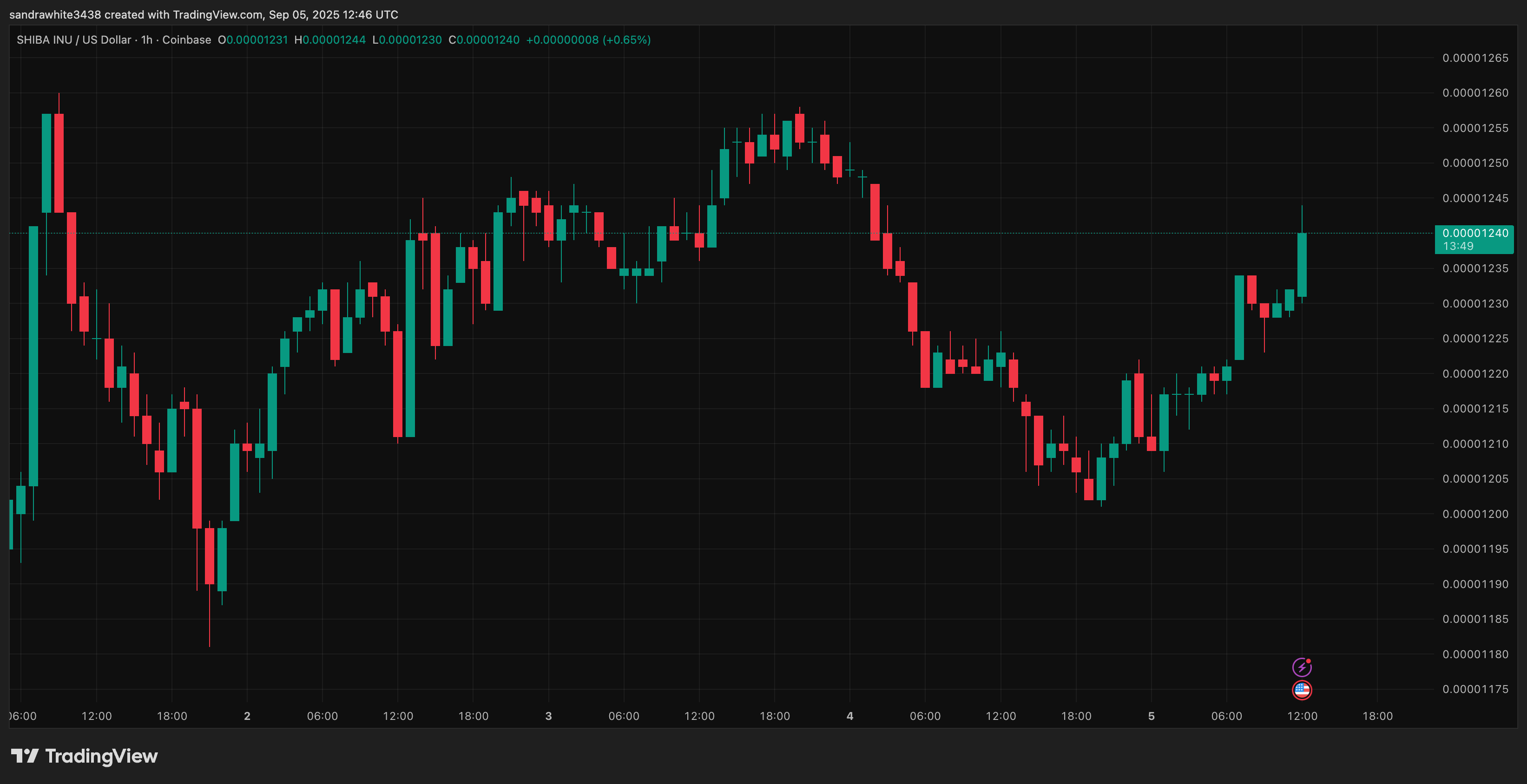 COINBASE:SHIBUSD Chart Image by sandrawhite3438