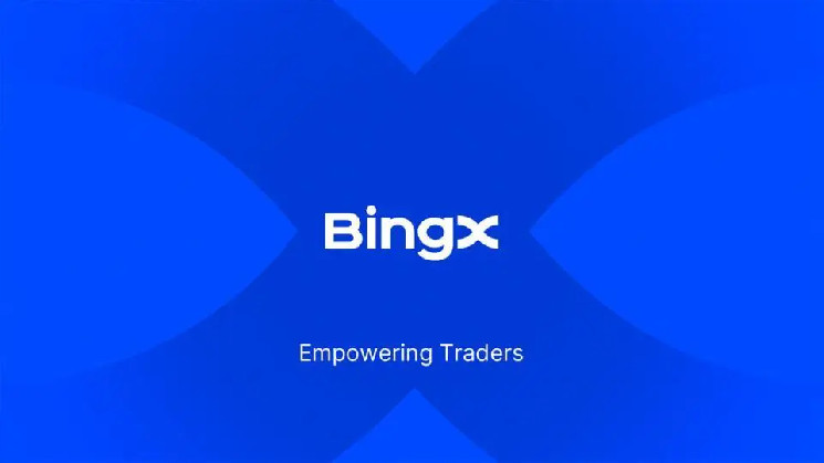 BingX восстановила работу после атаки хакеров