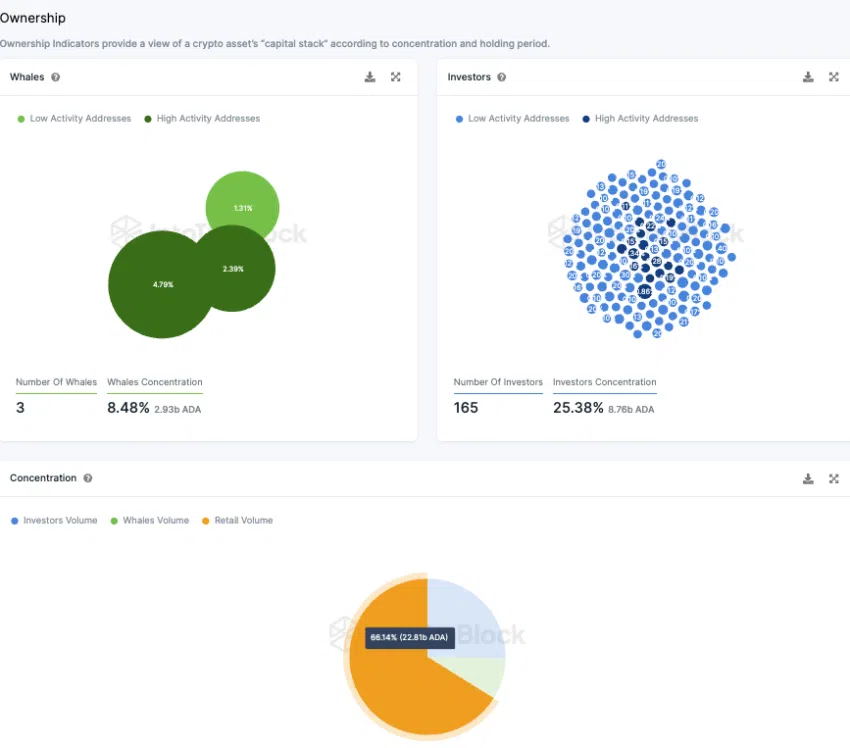 Cardano Konzentration der Investor-Typen