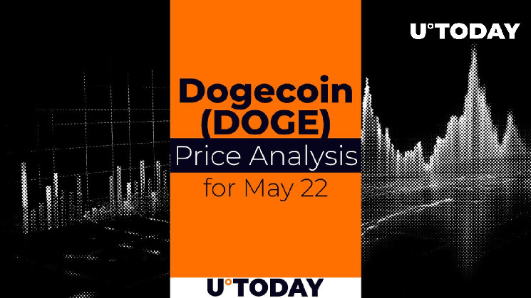 Прогноз цен DOGE на 22 мая