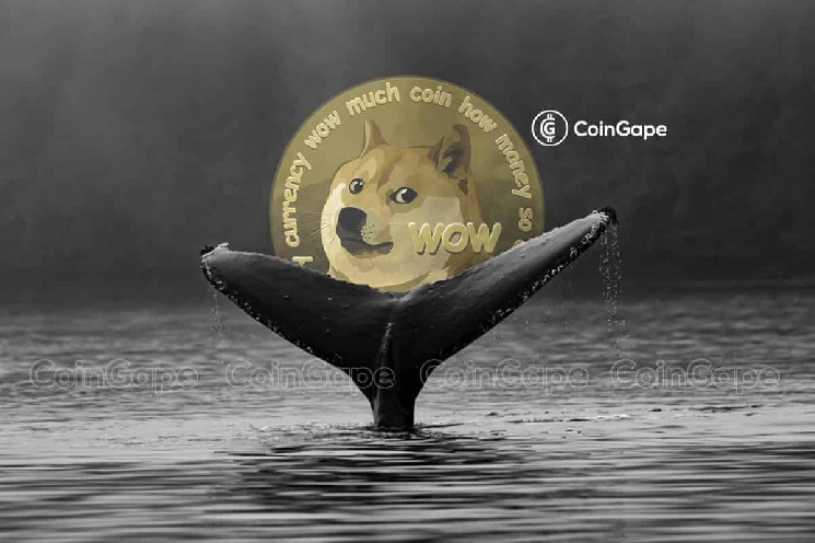 Dogecoin-киты перевалили за 1 миллиард DOGE, что происходит?