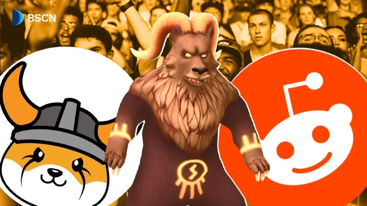 Valhalla Floki, чтобы запустить 4-недельный Reddit Blitz перед выпуском Mainnet