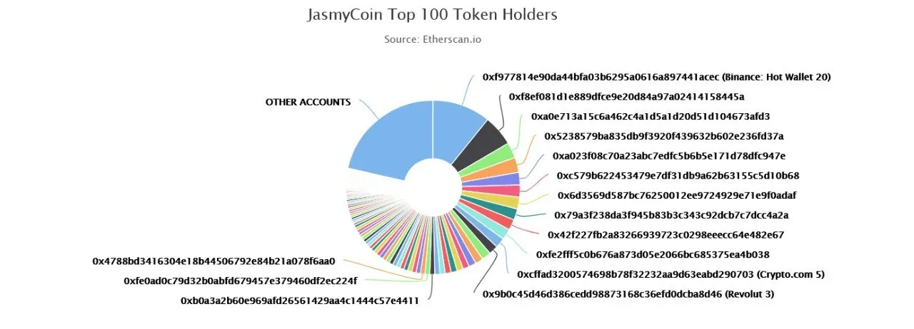 Top holders of the JASMY token