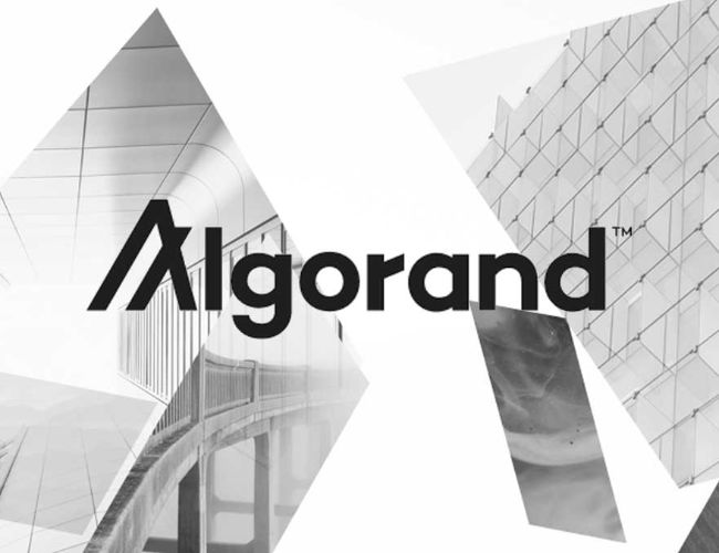 Algorand сотрудничает с Фондом Клинтона для борьбы с изменением климата