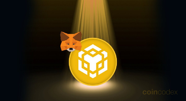 Как добавить Binance Smart Chain (BNB) в MetaMask?