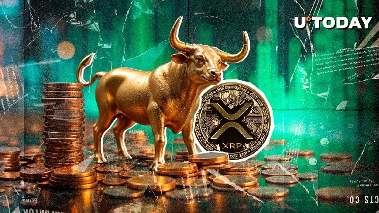 Xrp быки только что получили подтверждение, которое они ждали