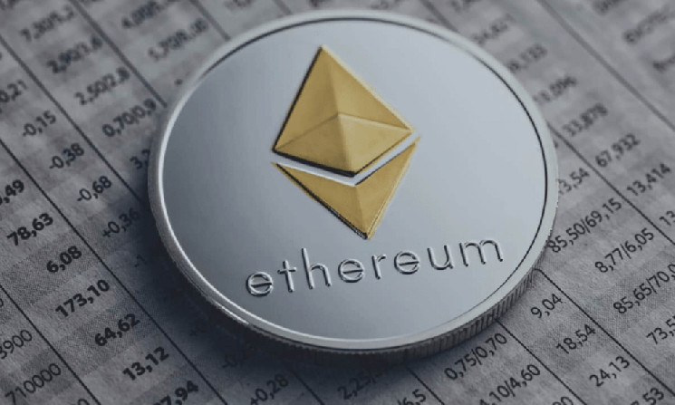 Ethereum и Polygon привлекают большинство новых пользователей