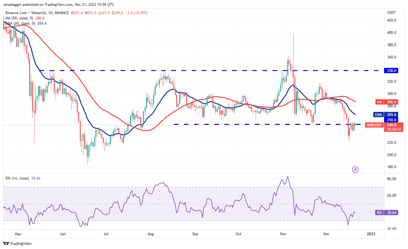 Phân tích giá 21/12: BTC, ETH, BNB, XRP, DOGE, ADA, MATIC, DOT, LTC, UNI 47 cc0a71991f76f4e434729dc1745b57e114c7329f