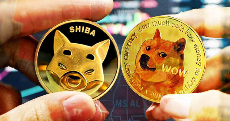 Скачкообразный рост цены Shiba Inu угрожает позиции Dogecoin