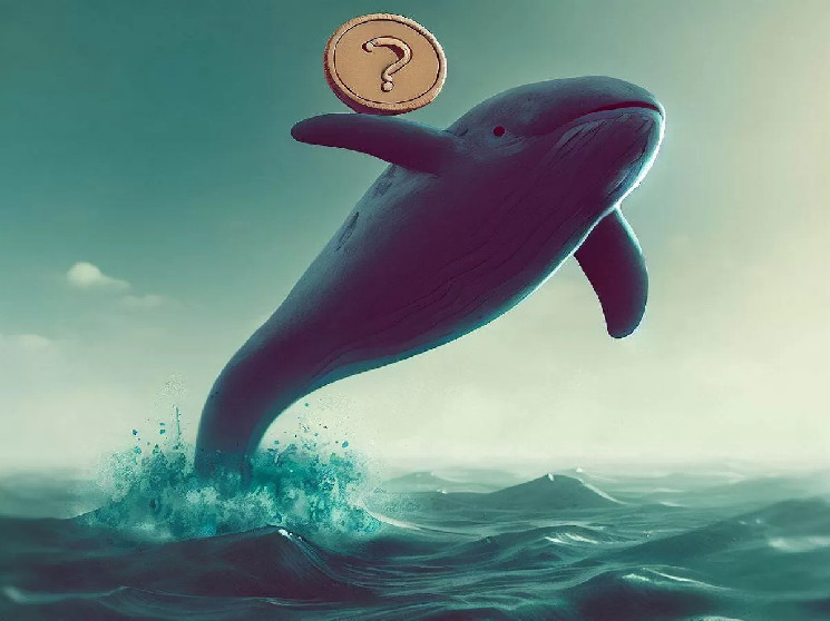 Оповещение о сбросе этого альткойна! Гигантский кит переместил все свои монеты на биржу!