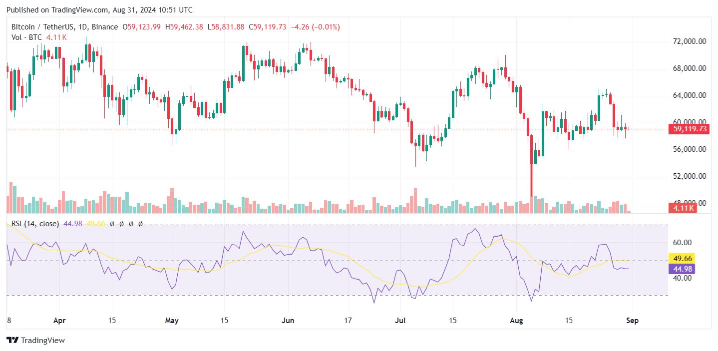 Crypto Rover ожидает достижение биткоином нового ATH через 50 дней