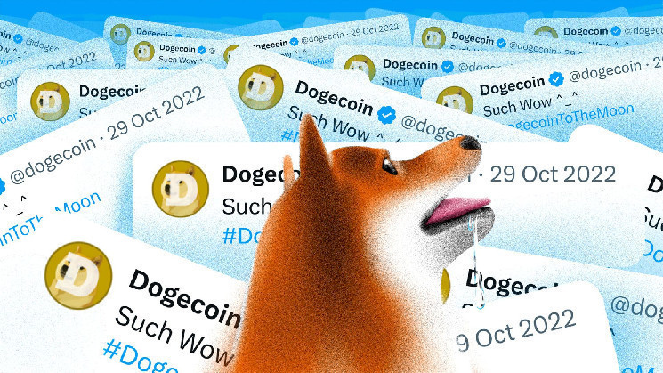 DogeChain закрывается: выводите Dogecoin (DOGE) уже сейчас