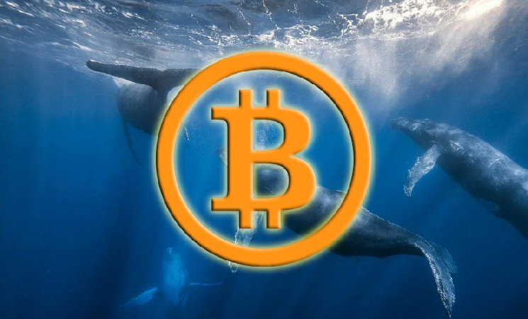 В сети Bitcoin стало на 16 китов меньше за неделю