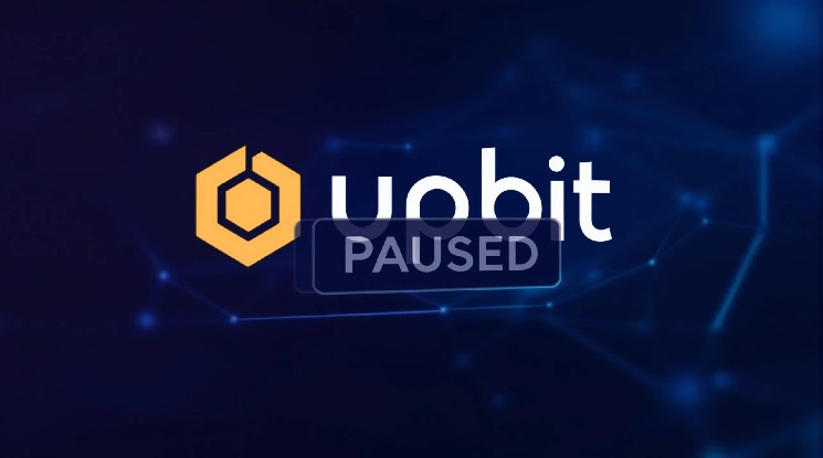 Upbit Egld Alert: важная подвеска для обновления Multiversx