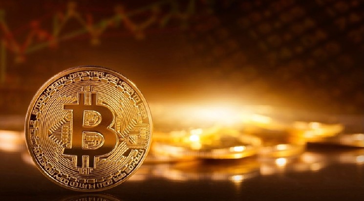 Соучредитель Маэстро Марвин Бертин видит биткойн в центре новой финансовой экономики