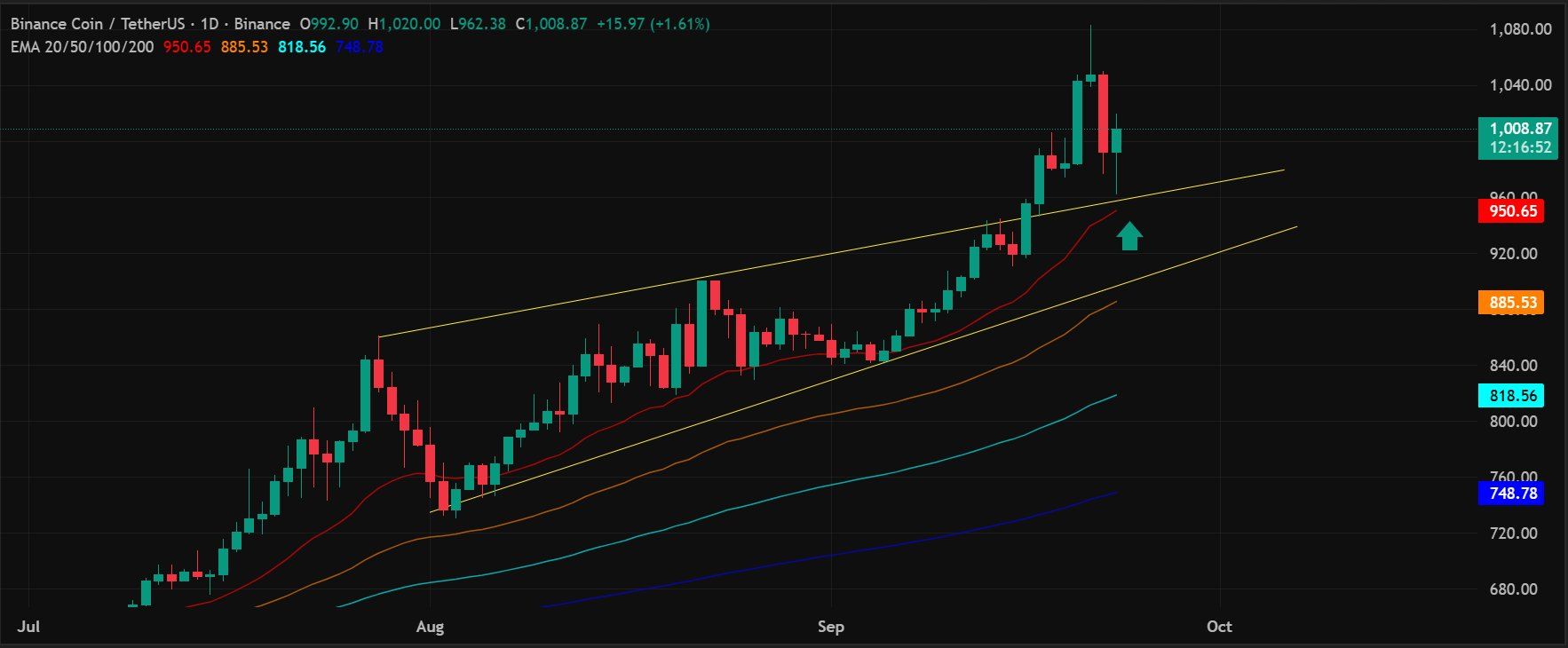BNB/USDT 1D chart. Source: Lark Davis