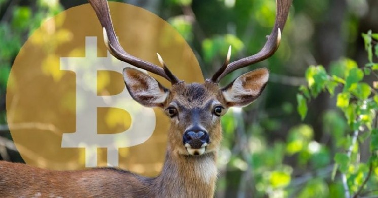 Биткойн-майнер Bitdeer сообщает о превышении выручки в третьем квартале на 169,7 миллиона долларов