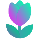 icon-Tulip Protocol